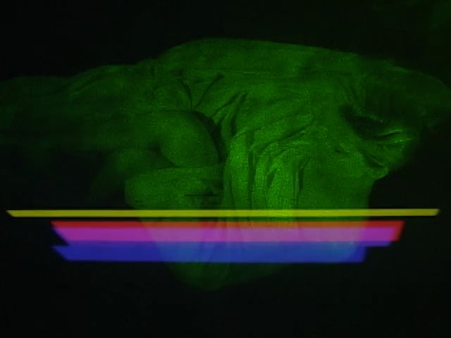 Forbidden Colors